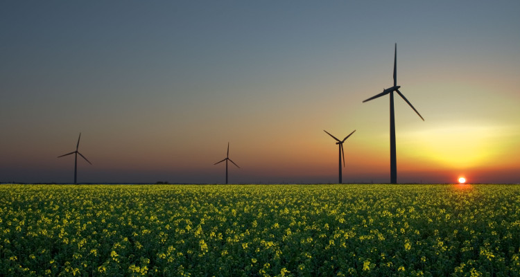 Energías renovables vs energía nuclear
