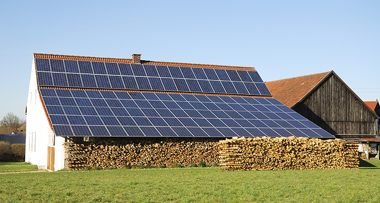 25% de las plantas fotovoltaicas españolas de autoconsumo usadas por la agricultura