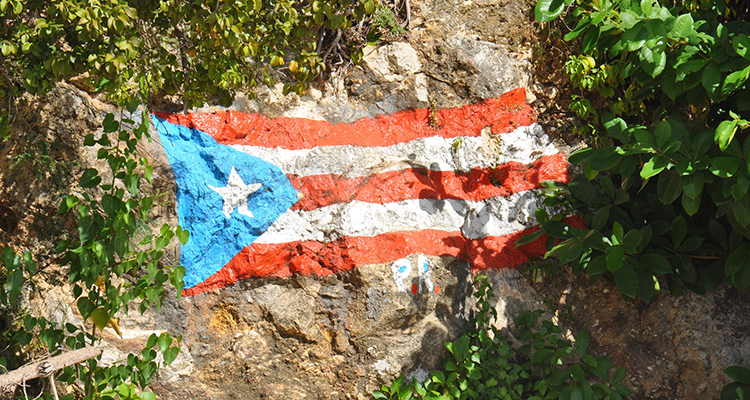 Puerto Rico podría reconstruir su red de electricidad solo con PV